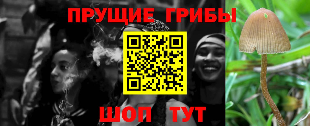Псилоцибиновые грибы Magic Shrooms  Вход с VPN  Бийск 